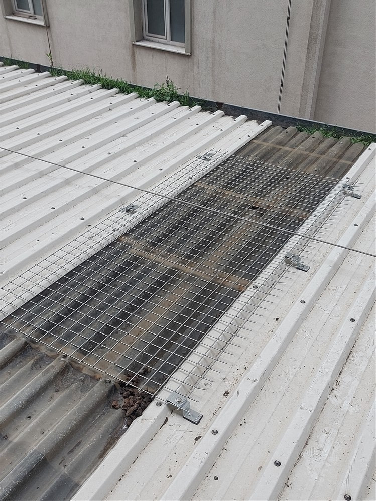 Skylight Çatı Işıklık Koruganı