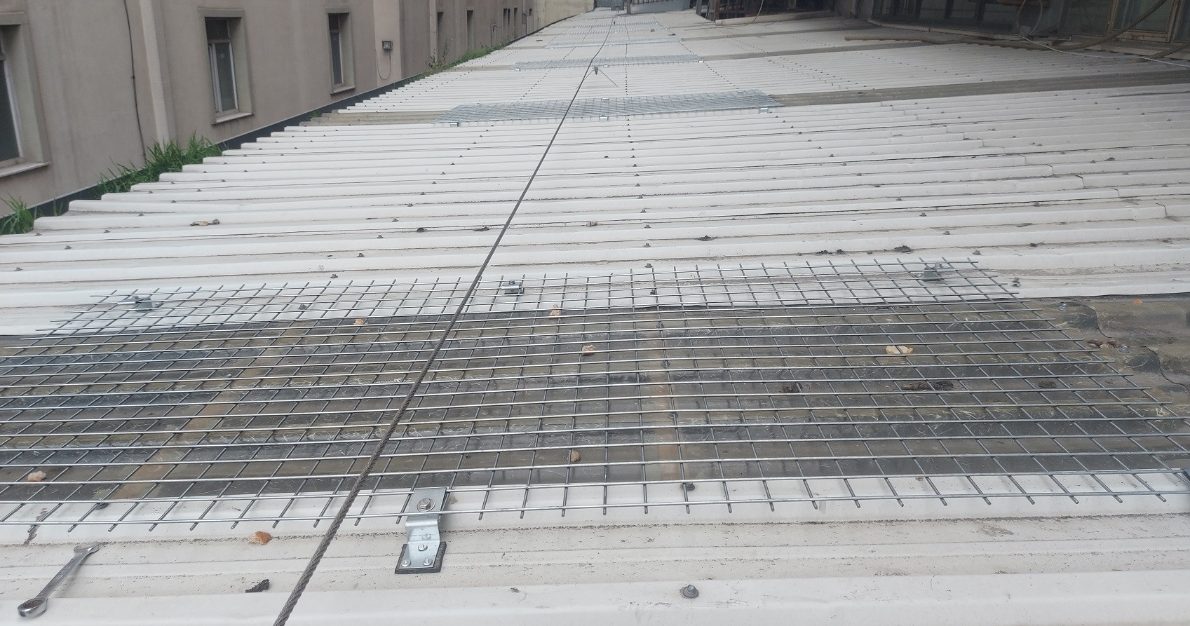 Skylight Çatı Işıklık Koruganı